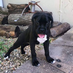 Meet your Posher, Brad